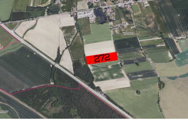 Działka Gmina: Chojnów w Krzywej Nr 272 – pow 3 ha ( 30 000 m²)
