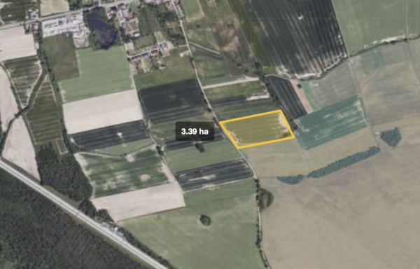 Działki Gmina: Chojnów w Krzywej Nr 291/1 oraz 290 o łącznej powierzchni – ok. 3,38 ha